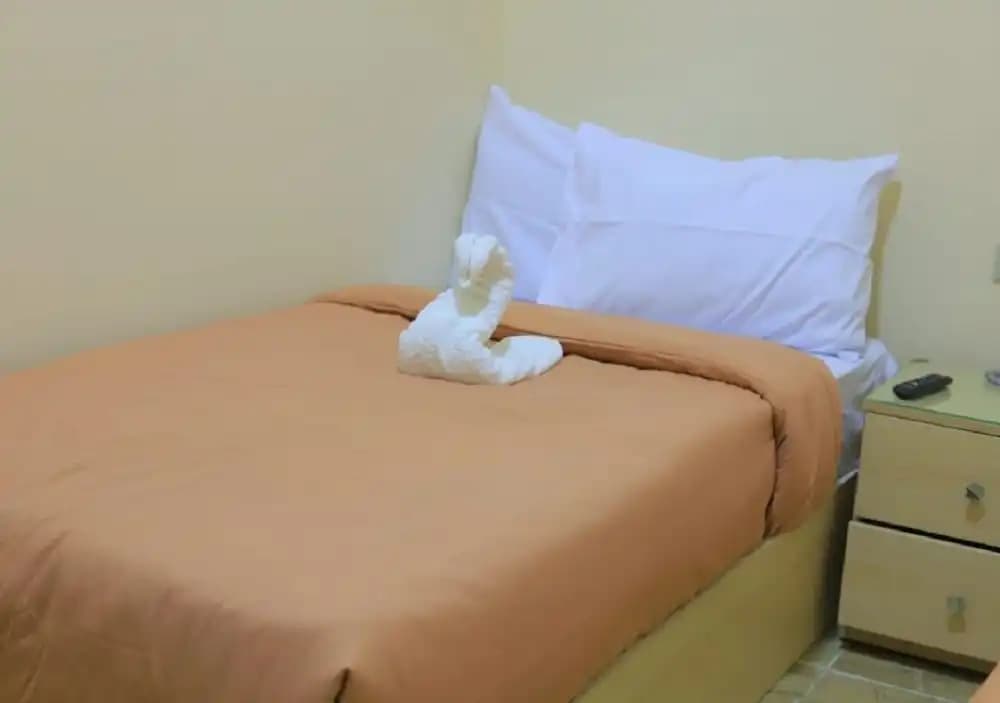 City Star Hotel - photo 3