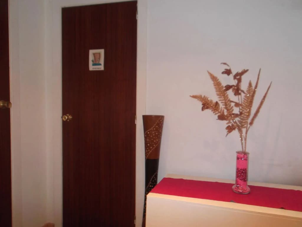 Penthouse Center Town Apartment - photo 9