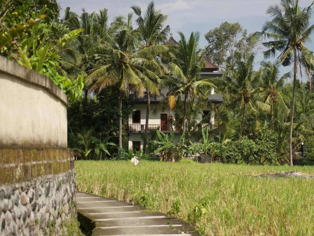 Eden House Ubud - photo 14