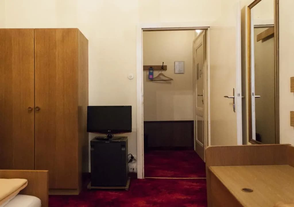 SHS-Hotel Fürstenhof - photo 8