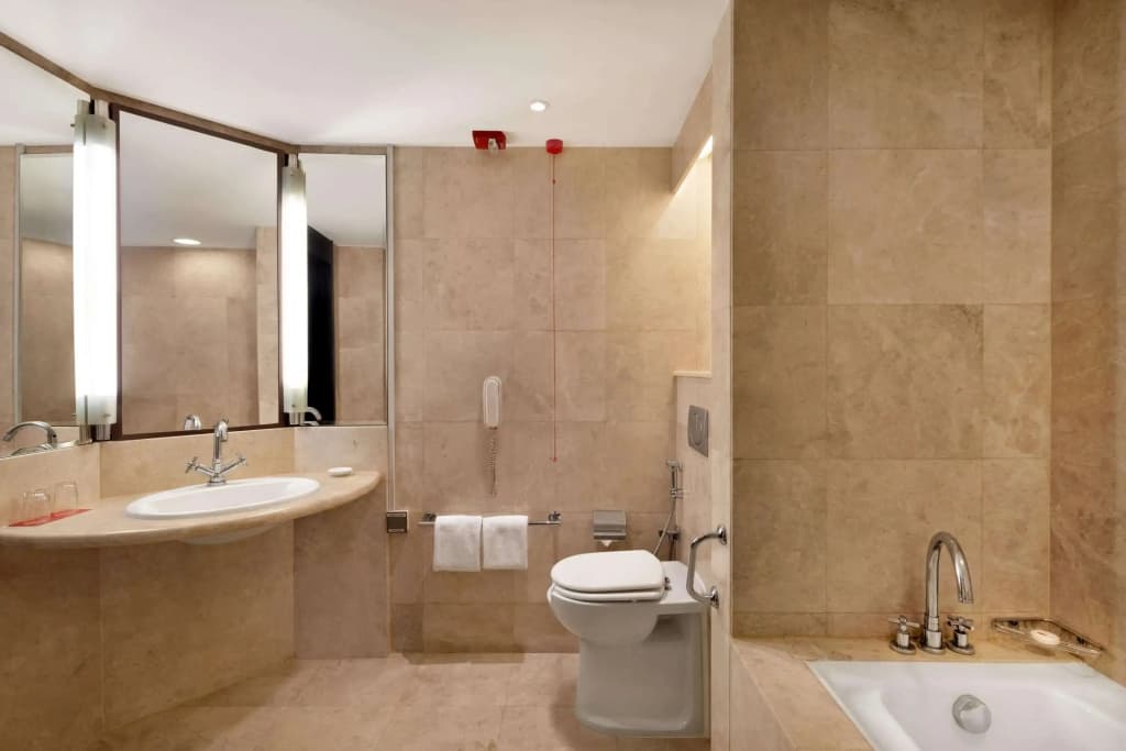 Ramada Plaza by Wyndham Dubai Deira - photo 9