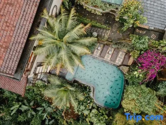The Iyang Ubud - photo 41
