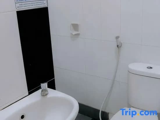 Deldhia Hotel - photo 4