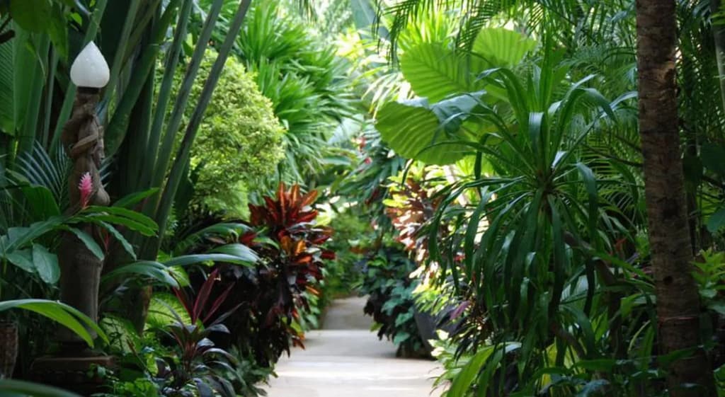 White House Beach Resort - photo 36