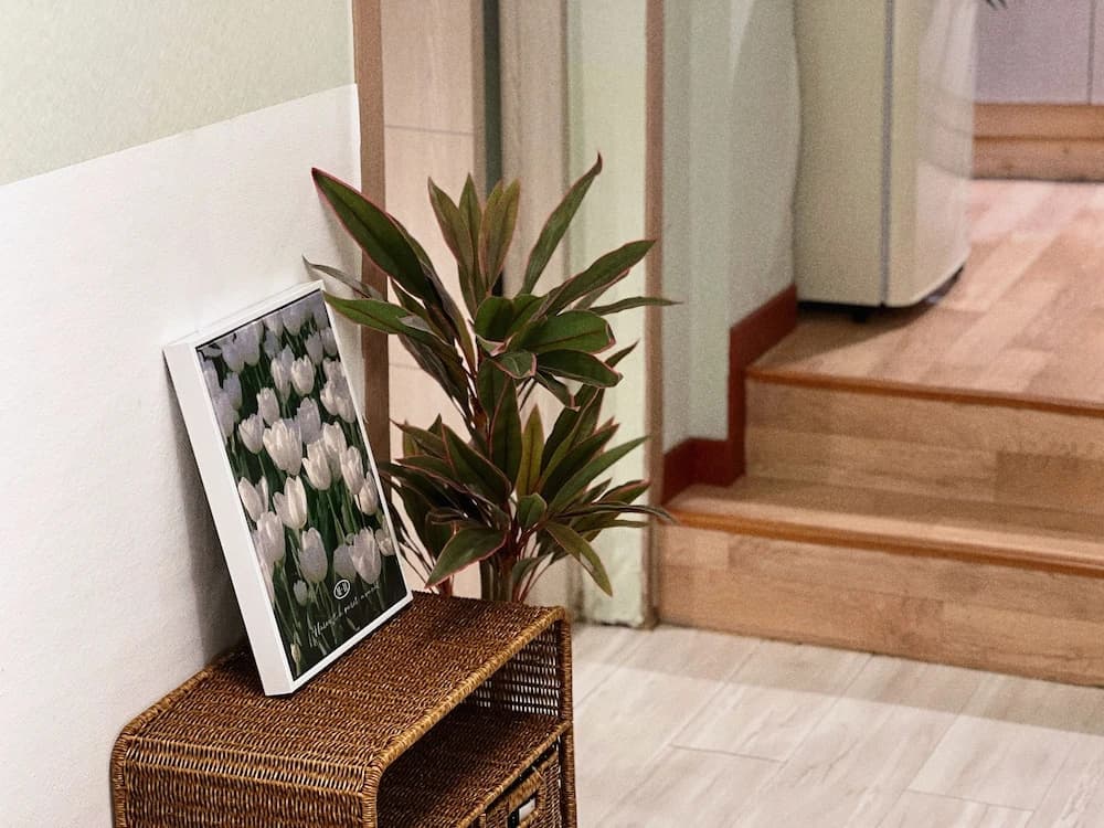 Jnineguesthouse - photo 30