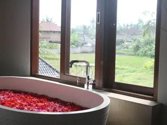 Villa Kami Ubud - photo 3