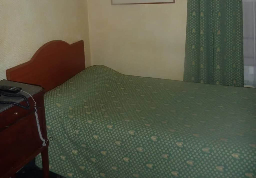 Hotel Prince Albert Louvre - photo 4