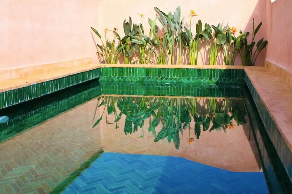 El Morocco Hotel - photo 20