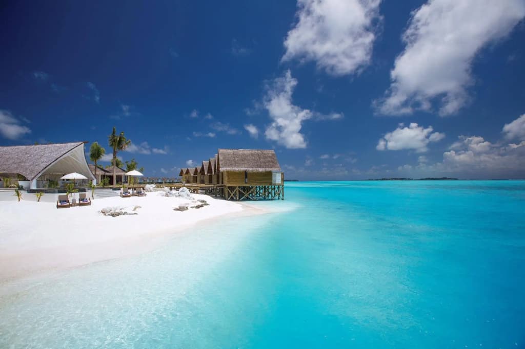 Ozen Life Maadhoo - photo 48