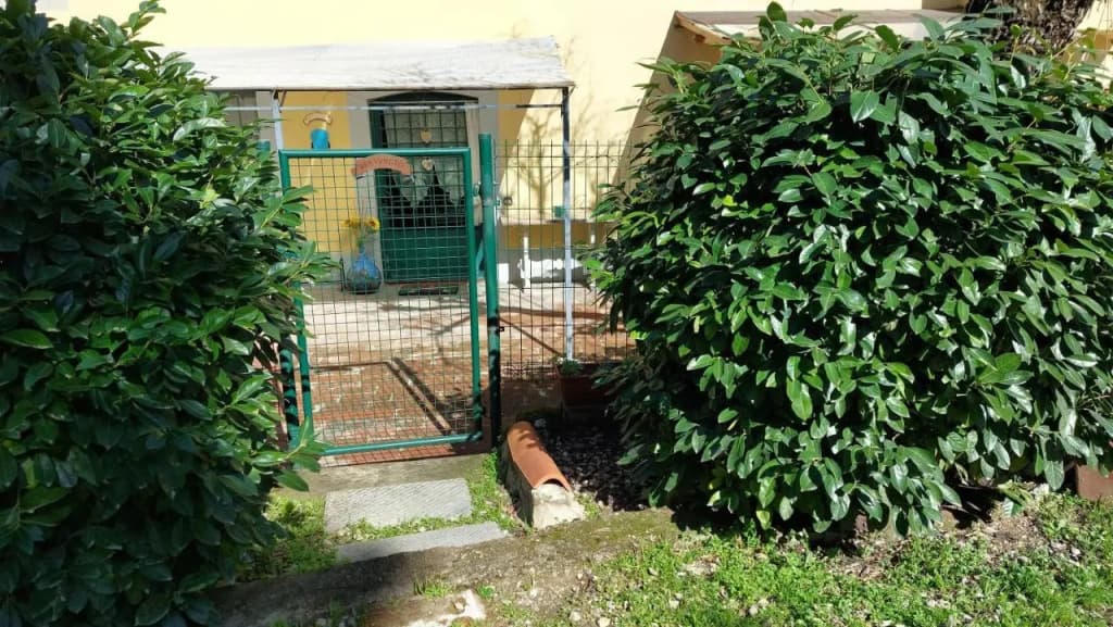 La Piccola Oasi con parcheggio - photo 10