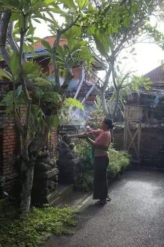 Sudiana House - photo 5