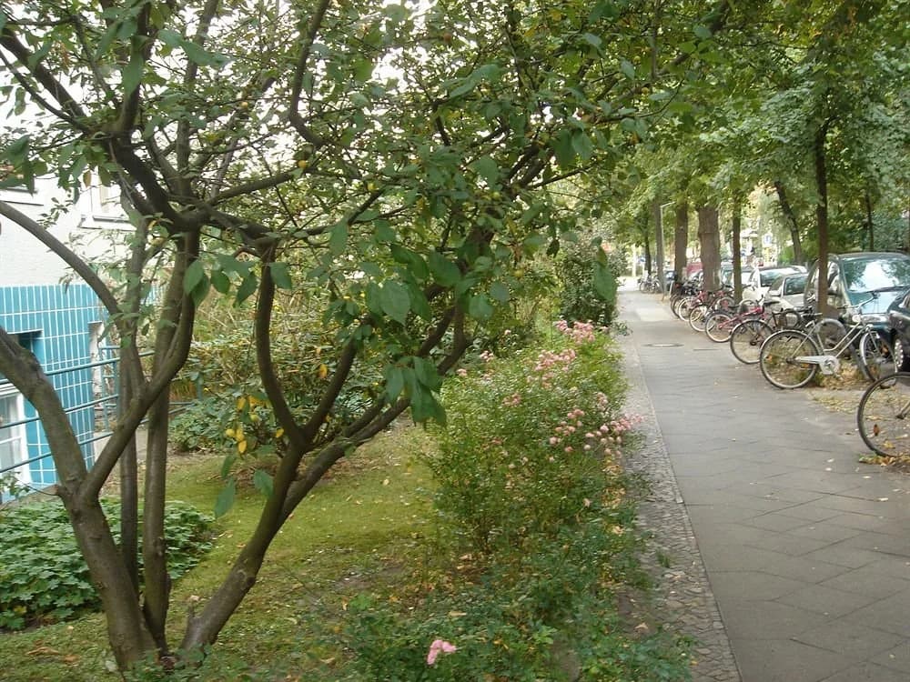 Privatzimmer - Berlin Schneberg - photo 6