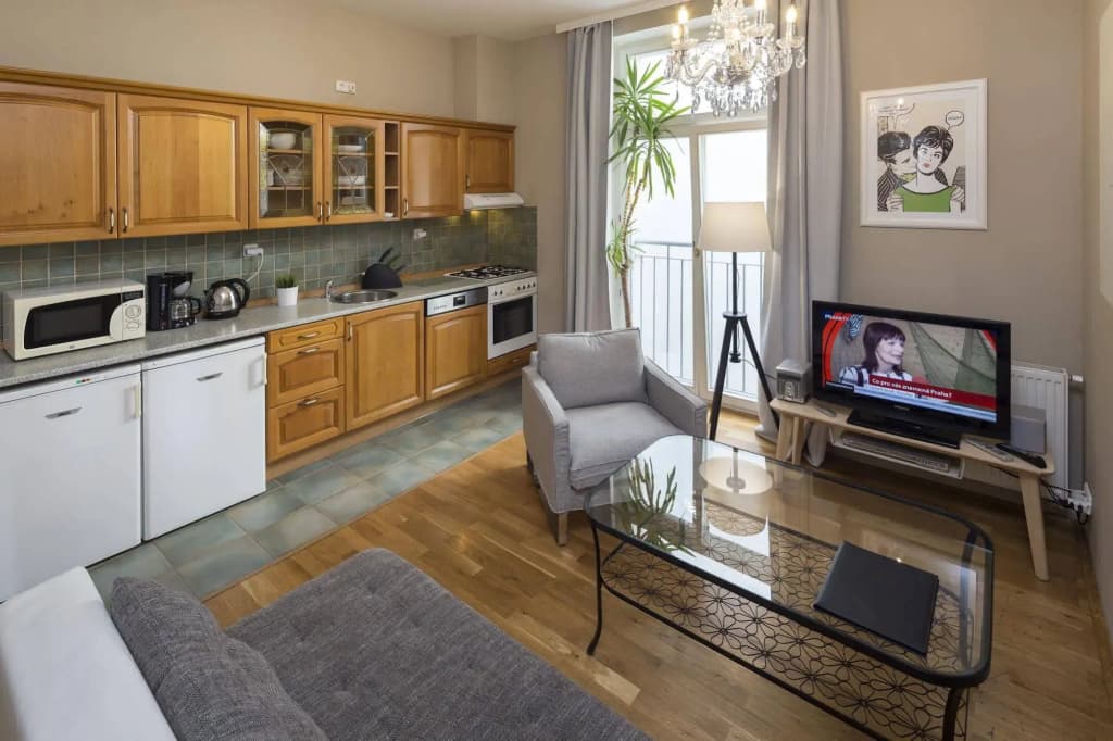 Premier Apartments Wenceslas Square - photo 20