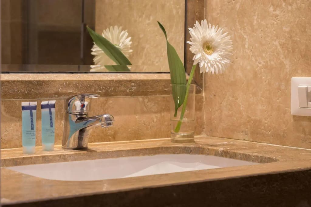 Aenea Superior Inn - photo 9