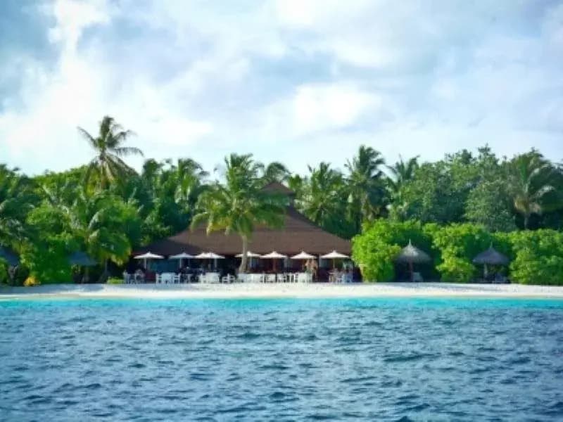 Velidhu Island Resort - photo 13