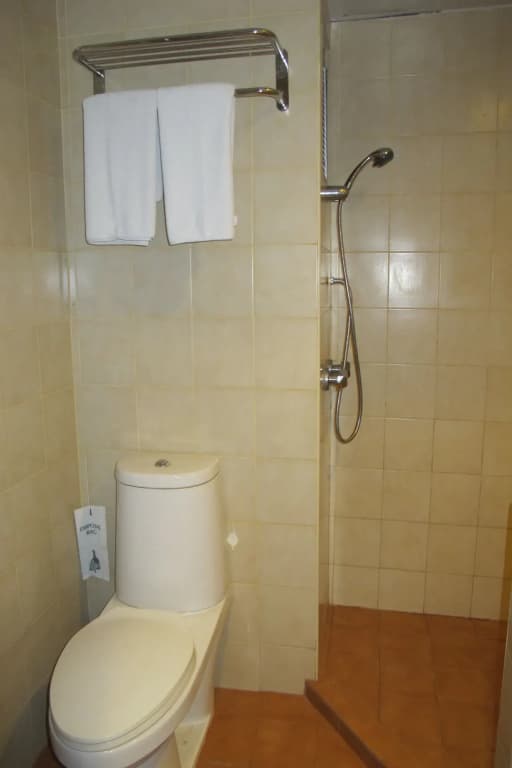 Palm Garden Hotel - photo 8