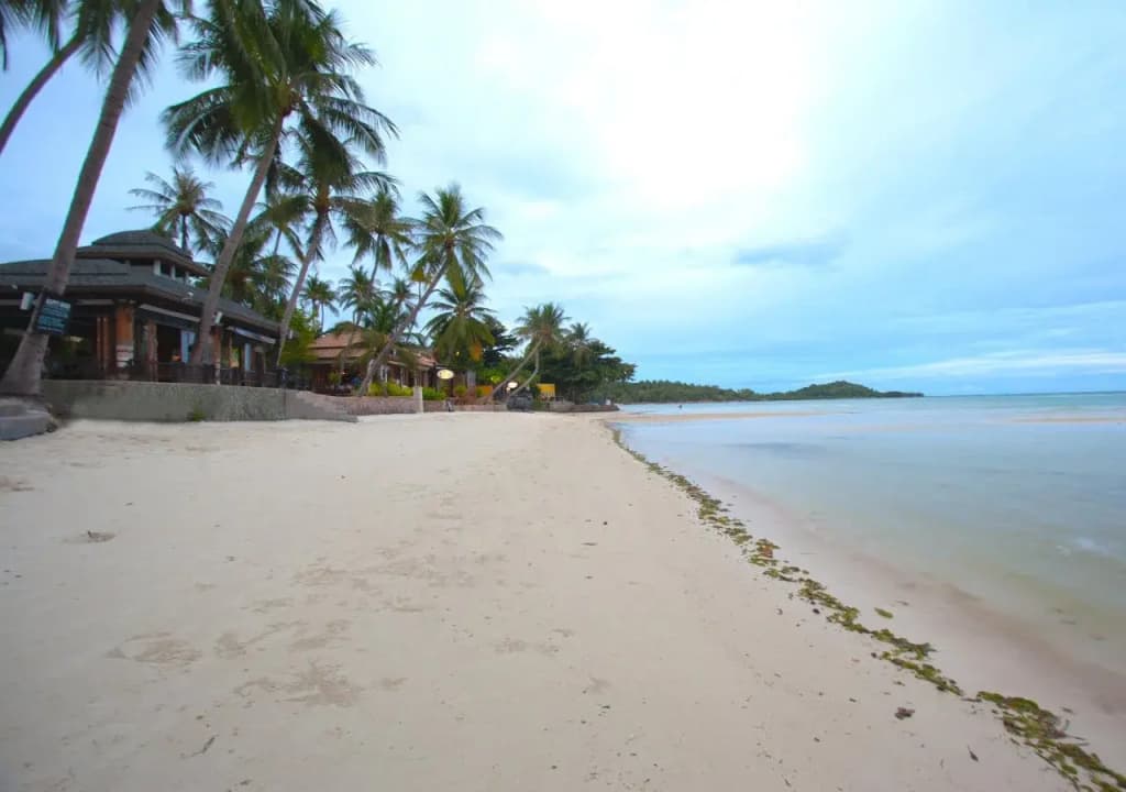Chaba Cabana Beach Resort - photo 26