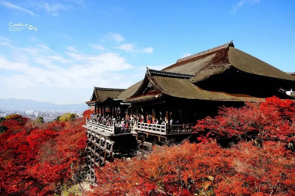 Ooimazato Samurai House2 - photo 27