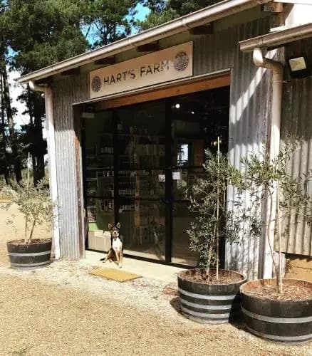 Hart's Farm - main photo
