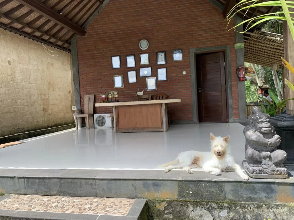 Bagiya Suites & Villas - photo 15
