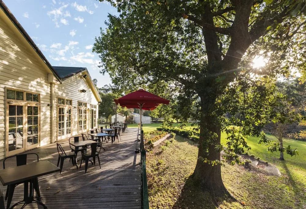 Best Western Yarra Valley - photo 13