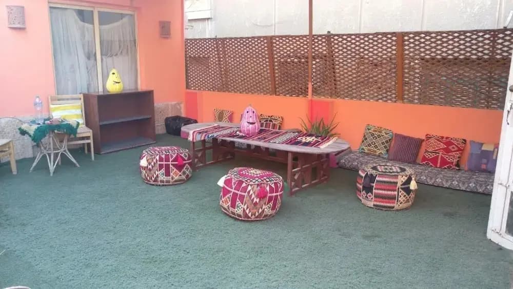 Charming Rooftop in Zamalek - photo 7