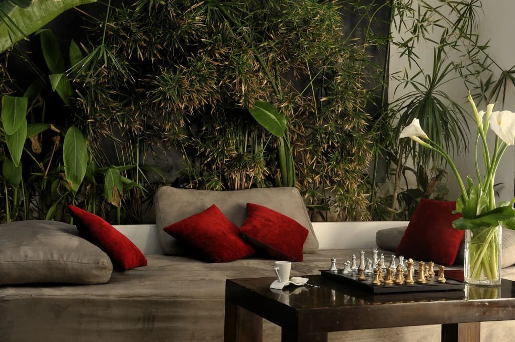 Riad Villa Wengé - photo 16