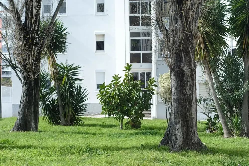 06 Olive Grove Apartment - photo 10