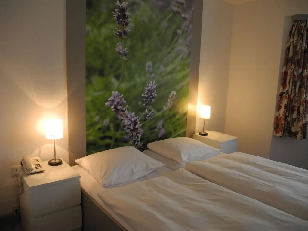 Havel Lodge Hotel - photo 5