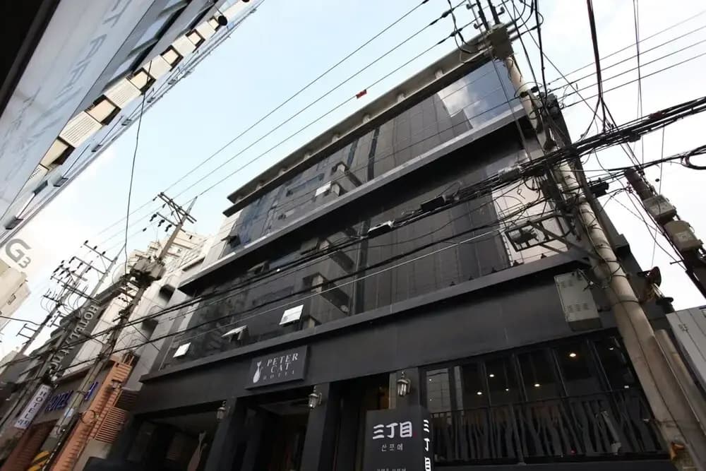 Shinchon Peter Cat - photo 18