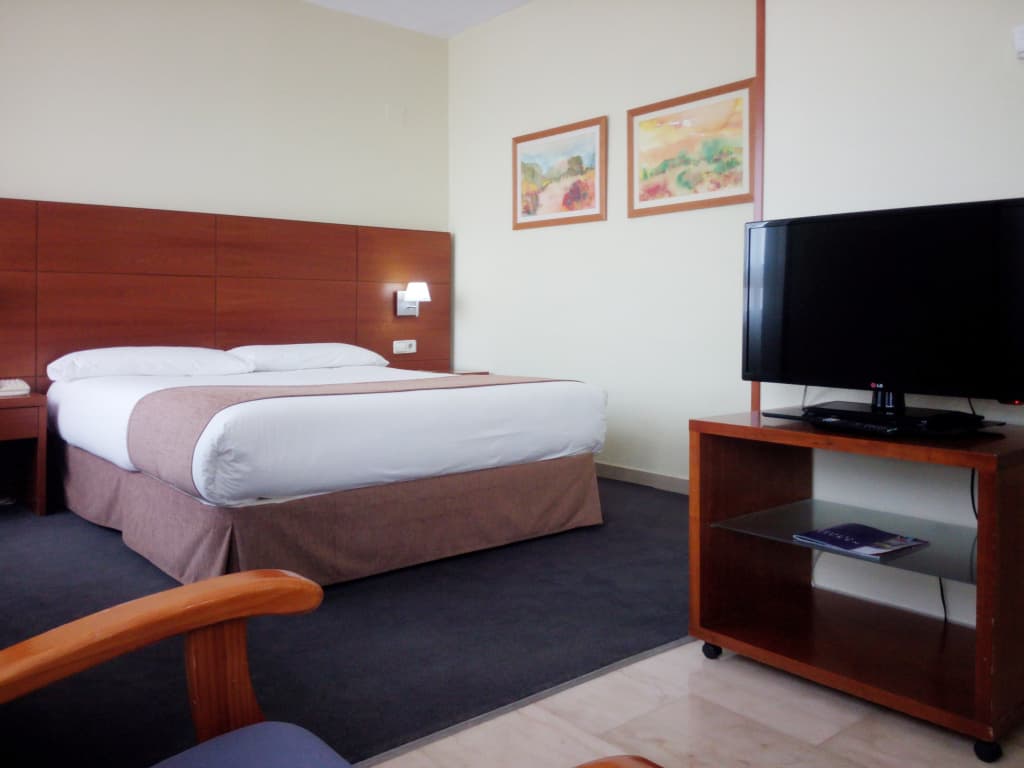 Hotel Porcel Torre Garden - photo 33