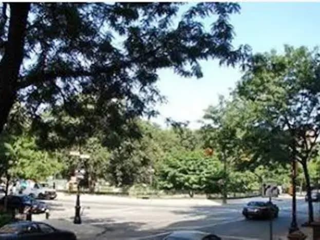 Harlem Bed and Breakfast - photo 8