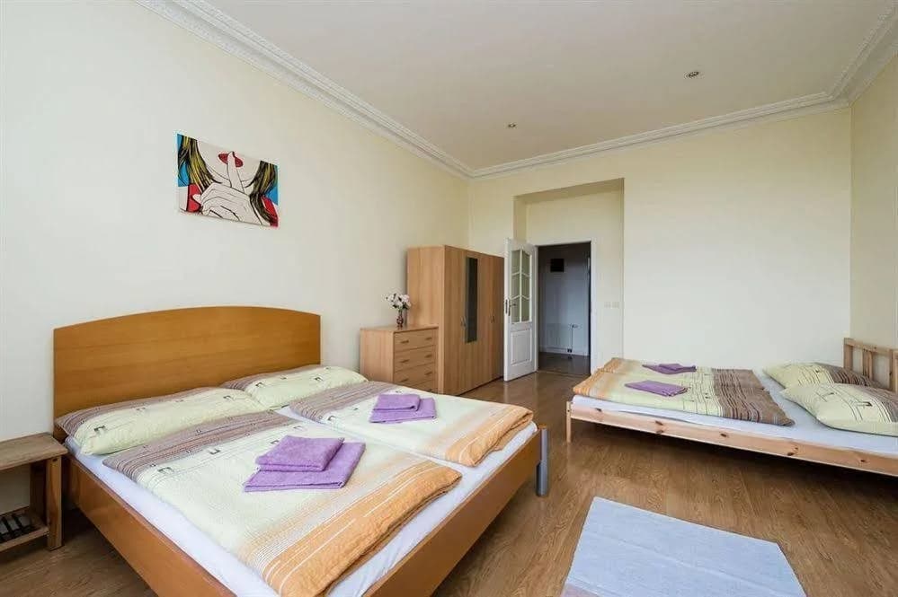 Astra Krasova I - photo 5