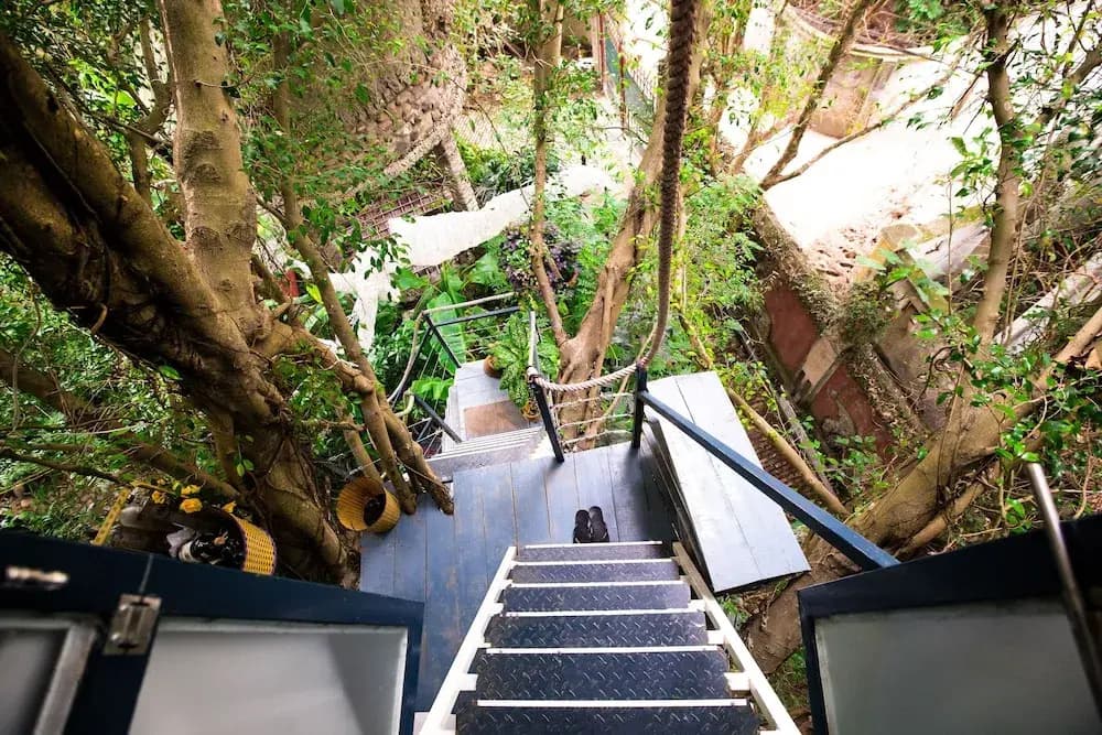 Dao Anh Khanh Studio Homestay - photo 15