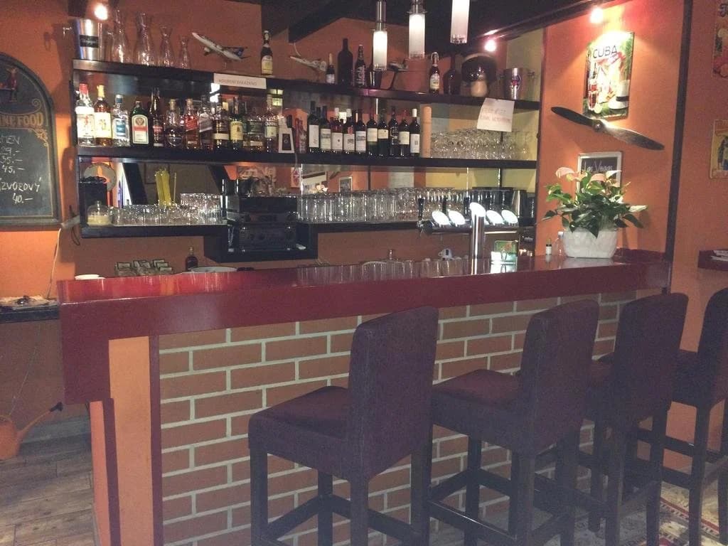 Restaurace-Penzion U Pilota - photo 8