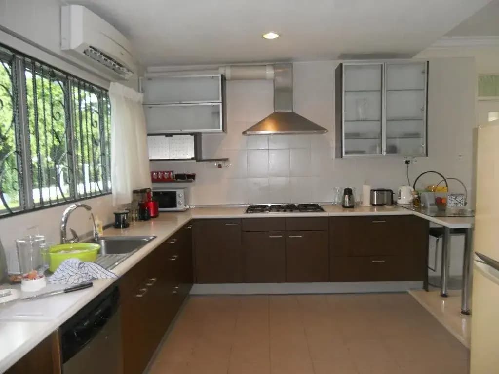 The U Thant - photo 21