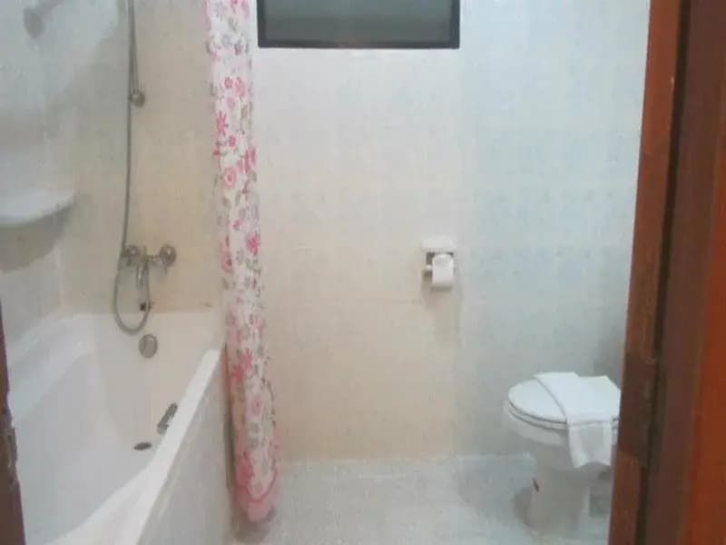 Jips Guesthouse - photo 11