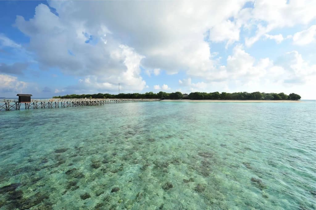 Pom Pom Island Resort - photo 10