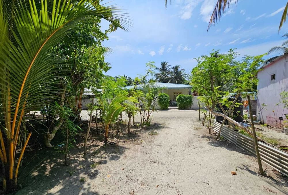 Kuri Himandhoo Inn - photo 15