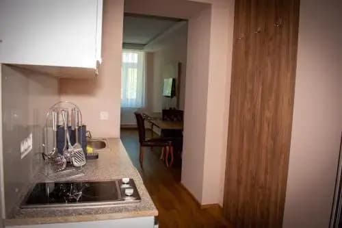 Aurellia Apartments - photo 15