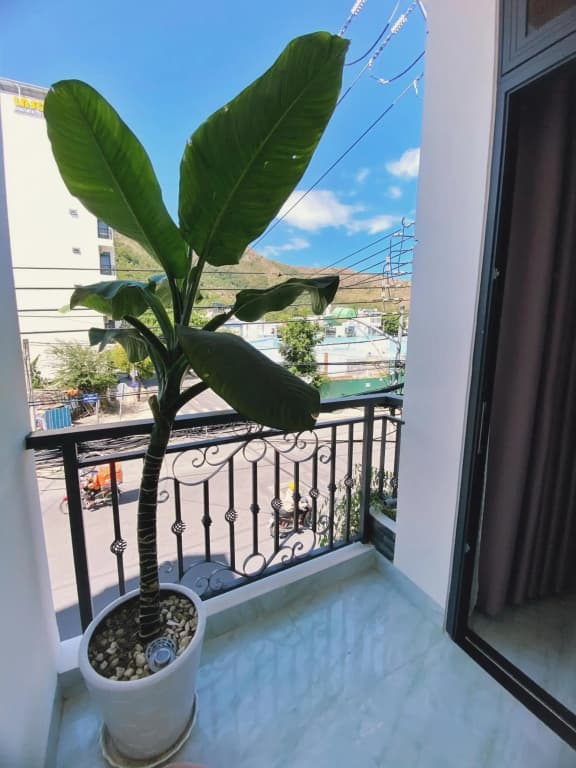 The Sweet Home - photo 14