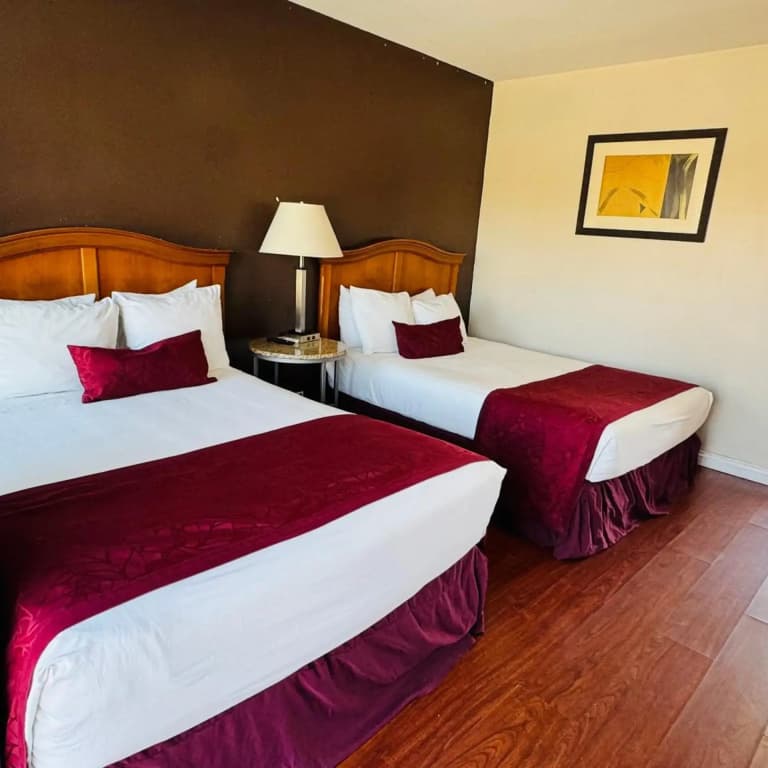 Holiday Lodge - photo 18