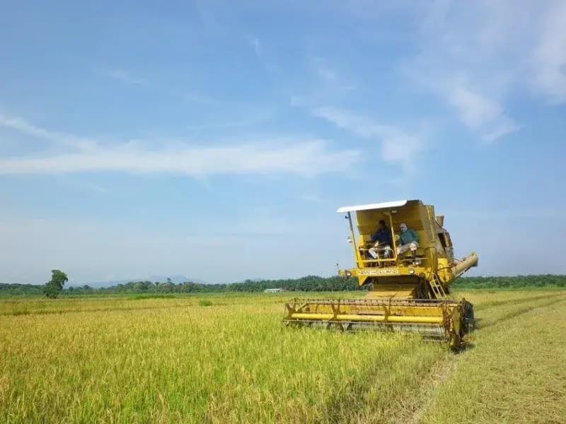 Kahang Organic Rice Eco Farm Resort - photo 2