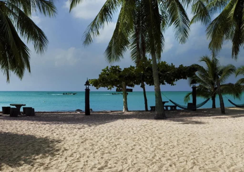 Dewshore Resort - photo 5
