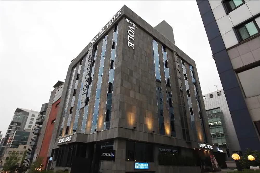 Gangnam Vole Hotel - photo 4