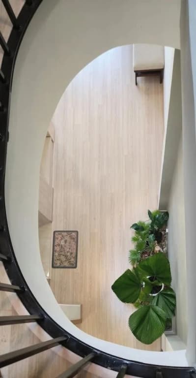 TP HOMe - photo 11