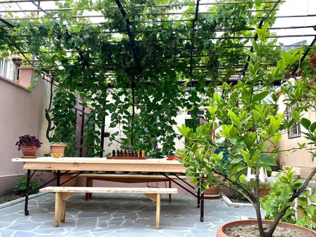Guest House - Avlabari - photo 14