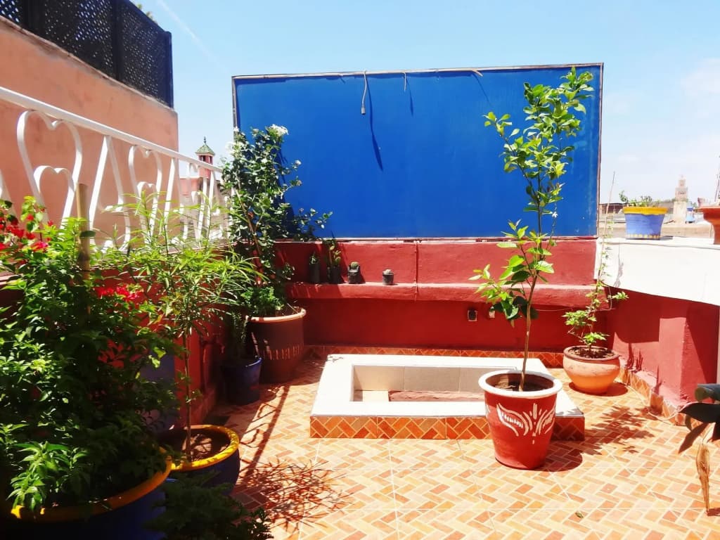 Riad Yara - photo 14