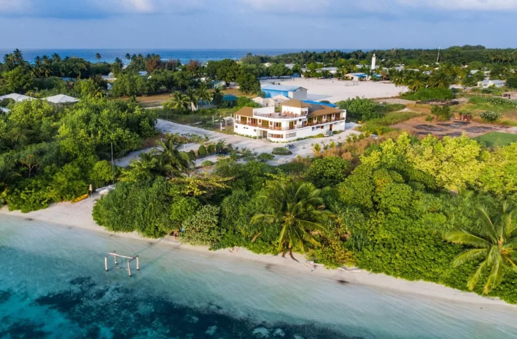 Olive Goidhoo Hotel - photo 14