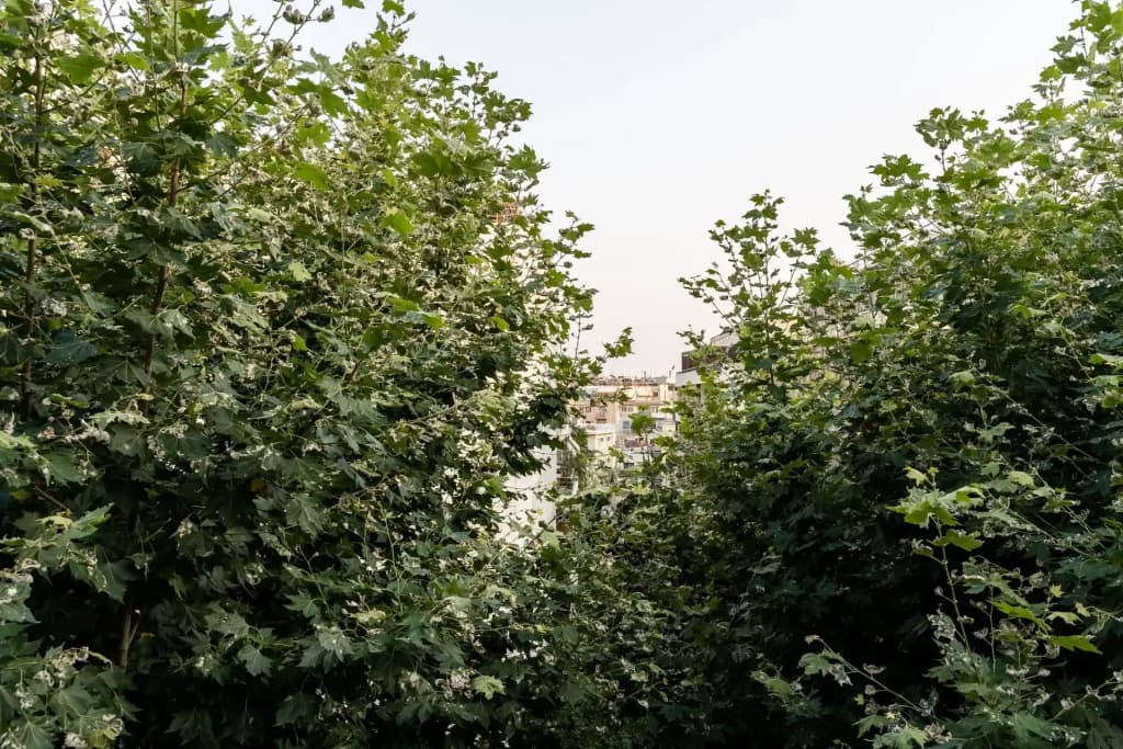 Frinichou 18 By Athens Concept Residences - photo 10